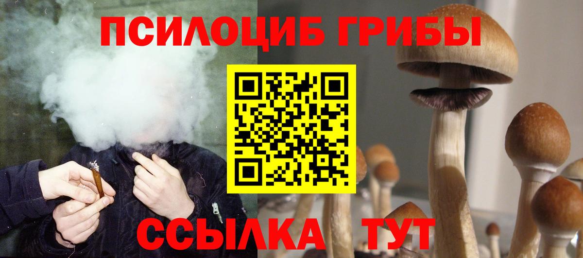 Псилоцибиновые грибы прущие грибы  Вход с VPN  Полысаево 